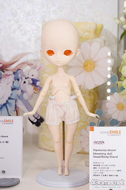 ꡼ No.167 | ե2019[]եȥݡȡϥե奢̽Ÿå饫磻ޤḁ̇̄Ϥ¤ʪˤ