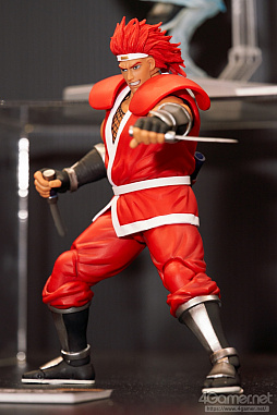 ꡼ No.250 | ե2019[]եȥݡȡϥե奢̽Ÿå饫磻ޤḁ̇̄Ϥ¤ʪˤ