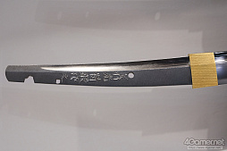 ꡼ No.254 | ե2019[]եȥݡȡϥե奢̽Ÿå饫磻ޤḁ̇̄Ϥ¤ʪˤ