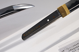 ꡼ No.257 | ե2019[]եȥݡȡϥե奢̽Ÿå饫磻ޤḁ̇̄Ϥ¤ʪˤ