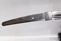 ꡼ No.259 | ե2019[]եȥݡȡϥե奢̽Ÿå饫磻ޤḁ̇̄Ϥ¤ʪˤ