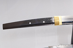 ꡼ No.260 | ե2019[]եȥݡȡϥե奢̽Ÿå饫磻ޤḁ̇̄Ϥ¤ʪˤ