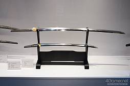 ꡼ No.261 | ե2019[]եȥݡȡϥե奢̽Ÿå饫磻ޤḁ̇̄Ϥ¤ʪˤ