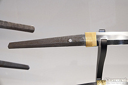 ꡼ No.262 | ե2019[]եȥݡȡϥե奢̽Ÿå饫磻ޤḁ̇̄Ϥ¤ʪˤ