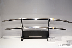 ꡼ No.264 | ե2019[]եȥݡȡϥե奢̽Ÿå饫磻ޤḁ̇̄Ϥ¤ʪˤ