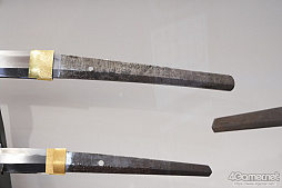 ꡼ No.265 | ե2019[]եȥݡȡϥե奢̽Ÿå饫磻ޤḁ̇̄Ϥ¤ʪˤ