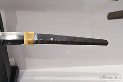 ꡼ No.266 | ե2019[]եȥݡȡϥե奢̽Ÿå饫磻ޤḁ̇̄Ϥ¤ʪˤ