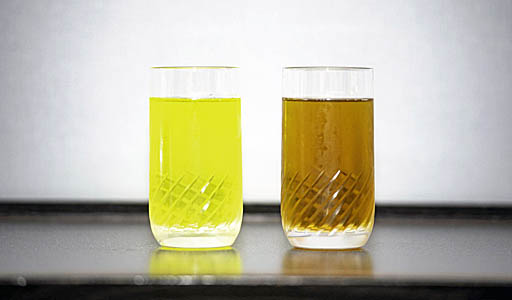 ꡼ No.005Υͥ / TGS 2019Ϥ줬ɥ饴Υѥ֥ꥢ르 ɥ饴֡ȡפ򥬥ۡ֡ǤäΤǡ̤Υꥢ르ɤȰ٤Ƥߤ