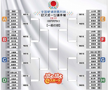 ���������꡼ No.006�Υ���ͥ������ / ��������ƻ�ܸ��й� e���ݡ������긢 2019 IBARAKI���ס��ȹ礻��ȯɽ��