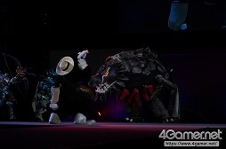 ꡼ No.337 | ॷ祦Υ٥ȡCosplay Collection Nightץեȥݡȡ⳰Υץ쥤䡼ơǶ