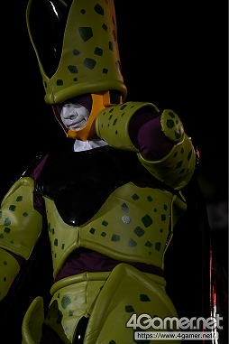 ꡼ No.488 | ॷ祦Υ٥ȡCosplay Collection Nightץեȥݡȡ⳰Υץ쥤䡼ơǶ