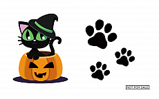 ���������꡼ No.005�Υ���ͥ������ / VR���ߡ�MAZARIA�פˤơ���췿�ꥢ��ۥ顼�����ƥ��ӥƥ���HARDCALL THE REAL�פ��������2019ǯ11��17���ޤǴ��ָ��ꥪ���ץ�