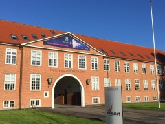 ܤΥ೫ȯԤǥޡˤ륲໺Ȥκ/˥ϥ졼Ninokoפͤݡ