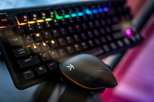 ���������꡼ No.004�Υ���ͥ������ / e���ݡ��ĥ������FNATIC�ס����ܤǤ�Ÿ���򶯲����뤿��ӥ��ͥ���ή�񥤥٥�Ȥ򳫺�