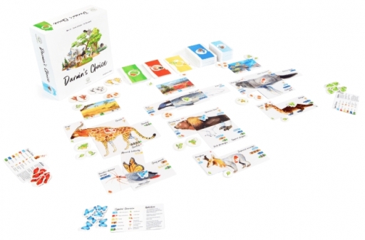 ���������꡼ No.002�Υ���ͥ������ / ��άŪ�����ɥ�����֥��������� ���祤���פ�������䤬Makuake�ǳ���