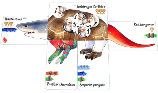 ���������꡼ No.003�Υ���ͥ������ / ��άŪ�����ɥ�����֥��������� ���祤���פ�������䤬Makuake�ǳ���