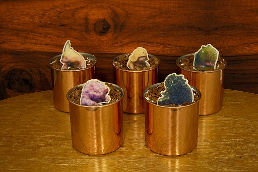 ꡼ No.004 | HUNTERS BAR֥ϥפˤơֺμνĶʪե2ơۡפ1113곫ŷ