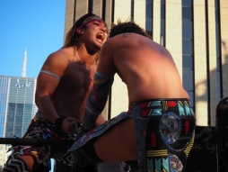 ���������꡼ No.016�Υ���ͥ������ / ��AGF�פ����ޤγ����Τǳ��š�����DDT�ץ��쥹��AGF2019 ������᤯�����ζ������ɡ��פ�ܡ��ɥ������θ���ʤɡ����ʥ������ݡ���