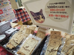 ���������꡼ No.035�Υ���ͥ������ / ��AGF�פ����ޤγ����Τǳ��š�����DDT�ץ��쥹��AGF2019 ������᤯�����ζ������ɡ��פ�ܡ��ɥ������θ���ʤɡ����ʥ������ݡ���