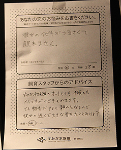 ���������꡼ No.009�Υ���ͥ������ / 2�Ĥο�²�ۤǥ��åץ����ѡ��������ߥ�졼������� ���������ɡפ�12��13������»ܡ���ͥ�Ͼ���Ϥ�����ã���व�󡤿�ˬ����줵��