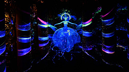 ���������꡼ No.003�Υ���ͥ������ / �������ˤο��ץ��������ȡ���LIVE INTERACTIVE WORKS�פ���Ÿ���줿���٥�ȤΥ�ݡ��ȸ���