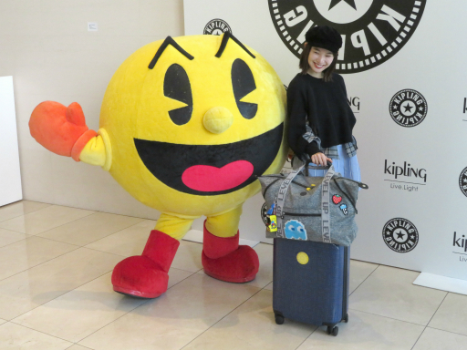 ���������꡼ No.017�Υ���ͥ������ / 1980ǯ������ޤ줿���ץ�󥰤ȥѥå��ޥ�Υ���ܥХå�������Ϫ��������ȯɽ��֥��ץ�󥰥�����Flight No.SS20�ץ�ݡ���