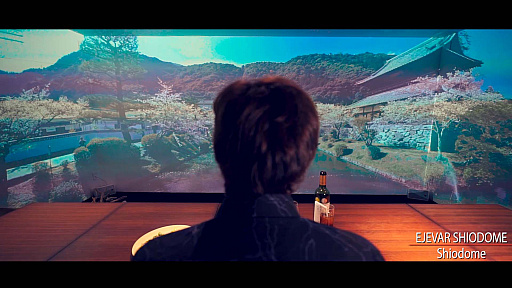 ���������꡼ No.003�Υ���ͥ������ / �����������١���VR����θ�������Х������˥��å��㤵�󤬽�Ǥ