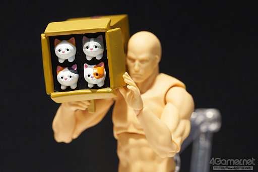 ���������꡼ No.329�Υ���ͥ������ / �̿��ǳڤ���������ե����ƥ��Х�2020[Winter]���������������ץ쥤�䡼�⻣�äƤ���