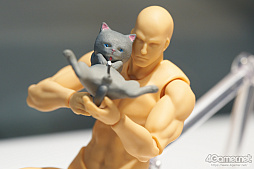 ���������꡼ No.330�Υ���ͥ������ / �̿��ǳڤ���������ե����ƥ��Х�2020[Winter]���������������ץ쥤�䡼�⻣�äƤ���