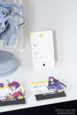 ���������꡼ No.350�Υ���ͥ������ / �̿��ǳڤ���������ե����ƥ��Х�2020[Winter]���������������ץ쥤�䡼�⻣�äƤ���