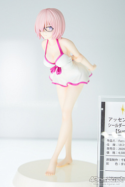 ���������꡼ No.429�Υ���ͥ������ / �̿��ǳڤ���������ե����ƥ��Х�2020[Winter]���������������ץ쥤�䡼�⻣�äƤ���