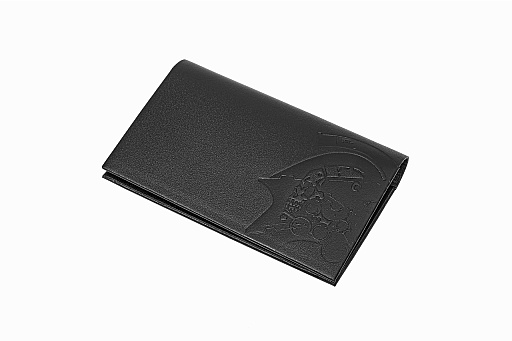 ���������꡼ No.002�Υ���ͥ������ / ���ܥ�¥򤫤�֥����ޥץ����������פȥ���ܤ��������ɥ��������о졣2��21�������������