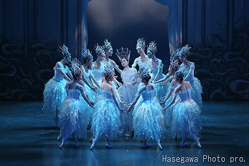 ꡼ No.008Υͥ / Х쥨֥ɥ饴󥯥ȡ׸餬ʸۤ1034˼»ܤء󥵡Х쥨Ĥˤ롤Х쥨ߥʥơ