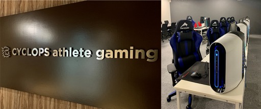 ���������꡼ No.001�Υ���ͥ������ / �ץ�e���ݡ��ĥ�����֥��������ץ��פο���������塦���Ĥ˥����ץ�