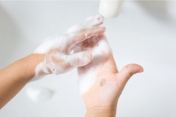 ���������꡼ No.002�Υ���ͥ������ / ���������������Ǥ���Ϥ󤳡�Pokémon PON ������������ספ�ȯ��