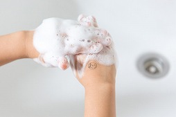 ���������꡼ No.012�Υ���ͥ������ / ���������������Ǥ���Ϥ󤳡�Pokémon PON ������������ספ�ȯ��