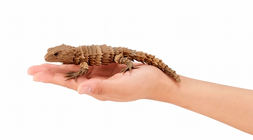 画像ギャラリー No.005のサムネイル画像 / カプセルトイ専門店「ガシャポンのデパート」ららぽーと名古屋みなとアクルス店が10月9日にオープン