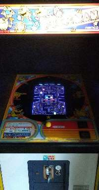 ���������꡼ No.010�Υ���ͥ������ / ��������ߥ��ɡߥʥĥ����ߥ塼������ˤ�뿷Ź�ޤ������Ͼ��11��29�������ץ�