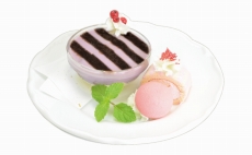 ���������꡼ No.024�Υ���ͥ������ / ���˥ᥤ�ȥ��ե��Ρ��������-ONLINE-�ץ���ܥ��ե����ݡ��ȡ�����˻ΤȲᤴ�����֤ϻ�ʡ�ζˡʤ���ߡ�