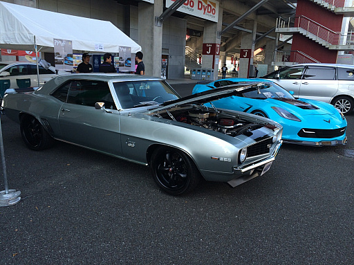 ���������꡼ No.009�Υ���ͥ������ / �ޥե������Ĥ��󼡸����褤������531���Ⱦ��������ͧ�ͤȷޤ���2021ǯ�Υɥ饤�����¡�