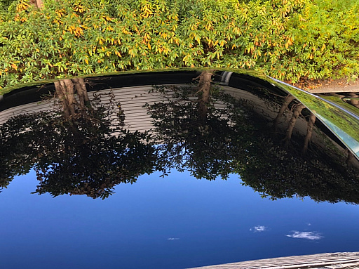 ���������꡼ No.010�Υ���ͥ������ / �ޥե������Ĥ��󼡸����褤������531���Ⱦ��������ͧ�ͤȷޤ���2021ǯ�Υɥ饤�����¡�