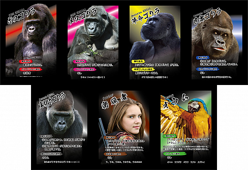 ꡼ No.003Υͥ / ֥ϵפȤΥܥɥֻۤƲϥפ213ȯ