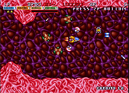 ꡼ No.005Υͥ / NEOGEOͷ٤ӥSTG֥ɥǥΥǤΤءٲϲˤƿ̸211о