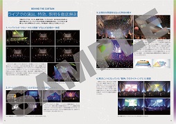 画像ギャラリー No.015のサムネイル画像 / 「クロノ・クロス」発売20周年記念ライブのファイナル公演を収録したBlu-rayが4月14日に発売決定