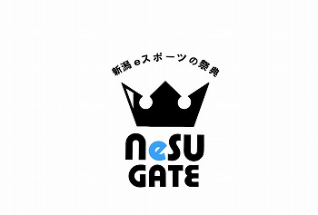 画像ギャラリー No.001のサムネイル画像 / 新潟県eスポーツ連盟による大会「NeSU GATE(ネス・ゲート)#2」が2月11日に開催