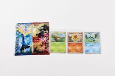 ꡼ No.040Υͥ / ֥ݥåȥ󥹥ץ꡼25ǯǰࡼӡˡ䥢˥ᡤåʤɡ100ĶʤȤơȥݥ25ǯɤҲ