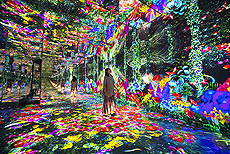 ���������꡼ No.008�Υ���ͥ������ / ���������������˥å�����LIW����YOKERO�ɥ١����ο����ȥ饯�����֥�������å��ե��󥿥����פ�ϥ����ƥ�ܥ���3��20�����Ÿ��