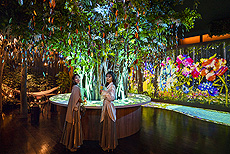 ���������꡼ No.010�Υ���ͥ������ / ���������������˥å�����LIW����YOKERO�ɥ١����ο����ȥ饯�����֥�������å��ե��󥿥����פ�ϥ����ƥ�ܥ���3��20�����Ÿ��