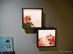 ꡼ No.003 | ʥ󥸥㥿˿褬ץ󡪡ȥɤ򥮥äȵͤHugood!ץǥեȥݡ