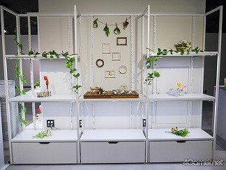 ꡼ No.030 | ʥ󥸥㥿˿褬ץ󡪡ȥɤ򥮥äȵͤHugood!ץǥեȥݡ